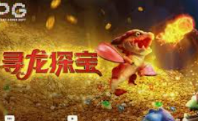 星空综合app客户端