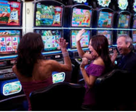 星空综合app桌面版客户端