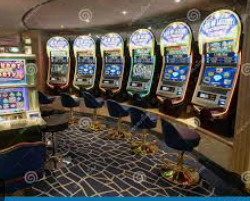 星空综合app免费版